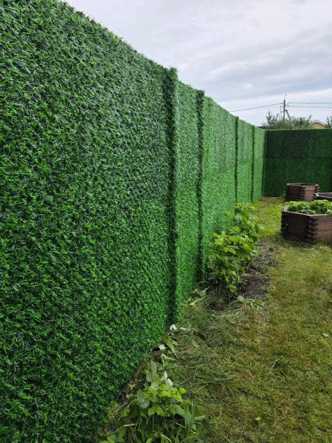Вечнозеленый забор Grass Fence 37м фото 1 в Атырау